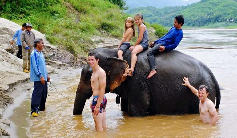 Visiting Mekong Elephant Park 