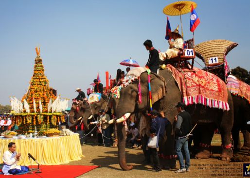 Join the biggest Laos elephant festivals