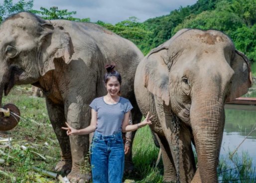Pakbeng - Laos' most sustainable elephant sanctuary